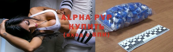 гашик Алзамай