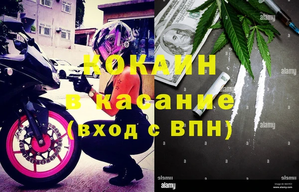 гашик Алзамай