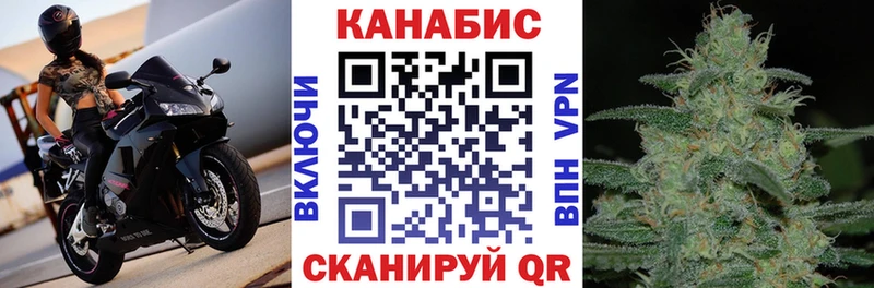 Конопля сатива  Дзержинский 